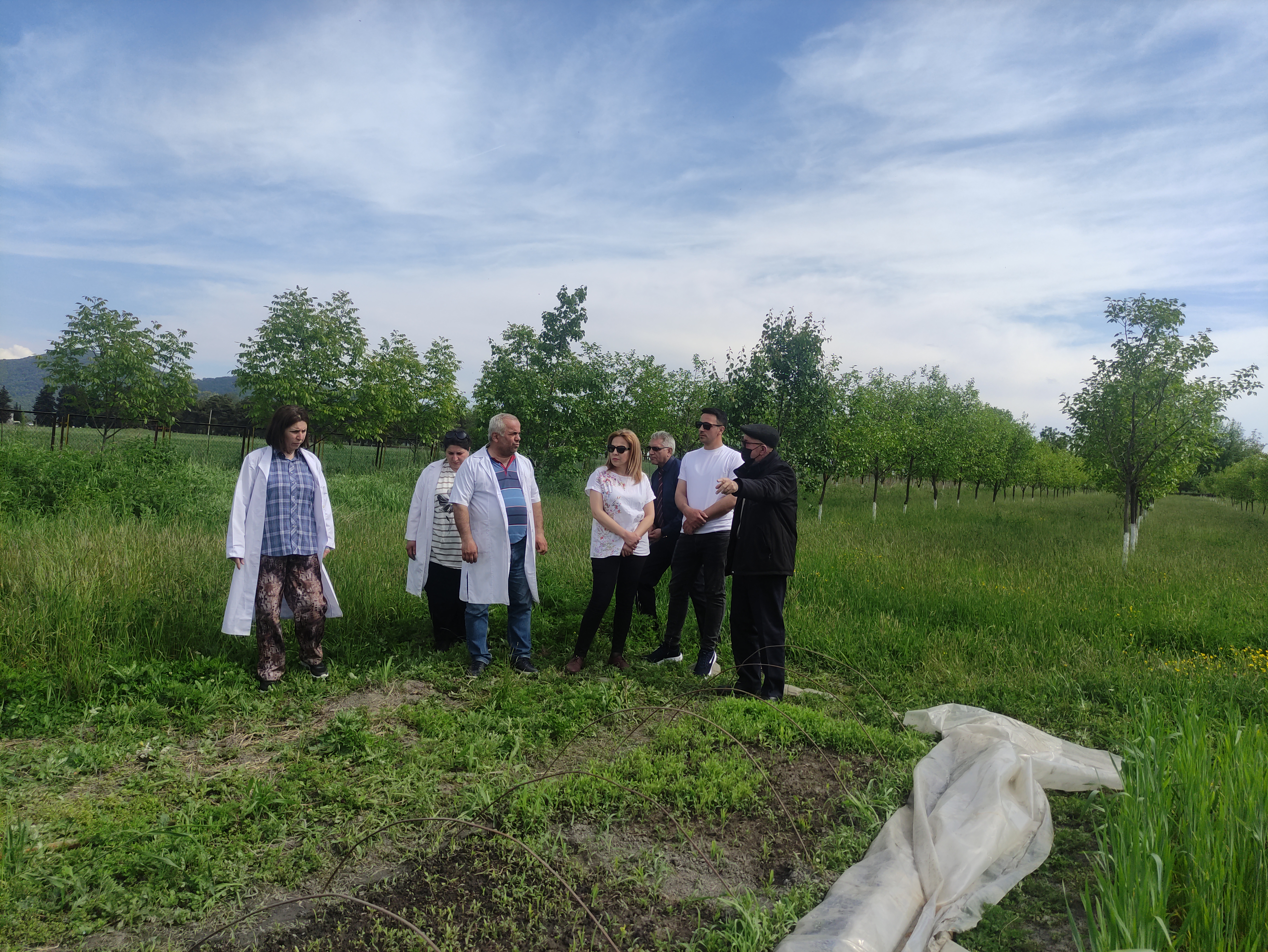 The Research work continues at the Gakh district Regional Experience and Resource Center for Ecologically Clean Agriculture.