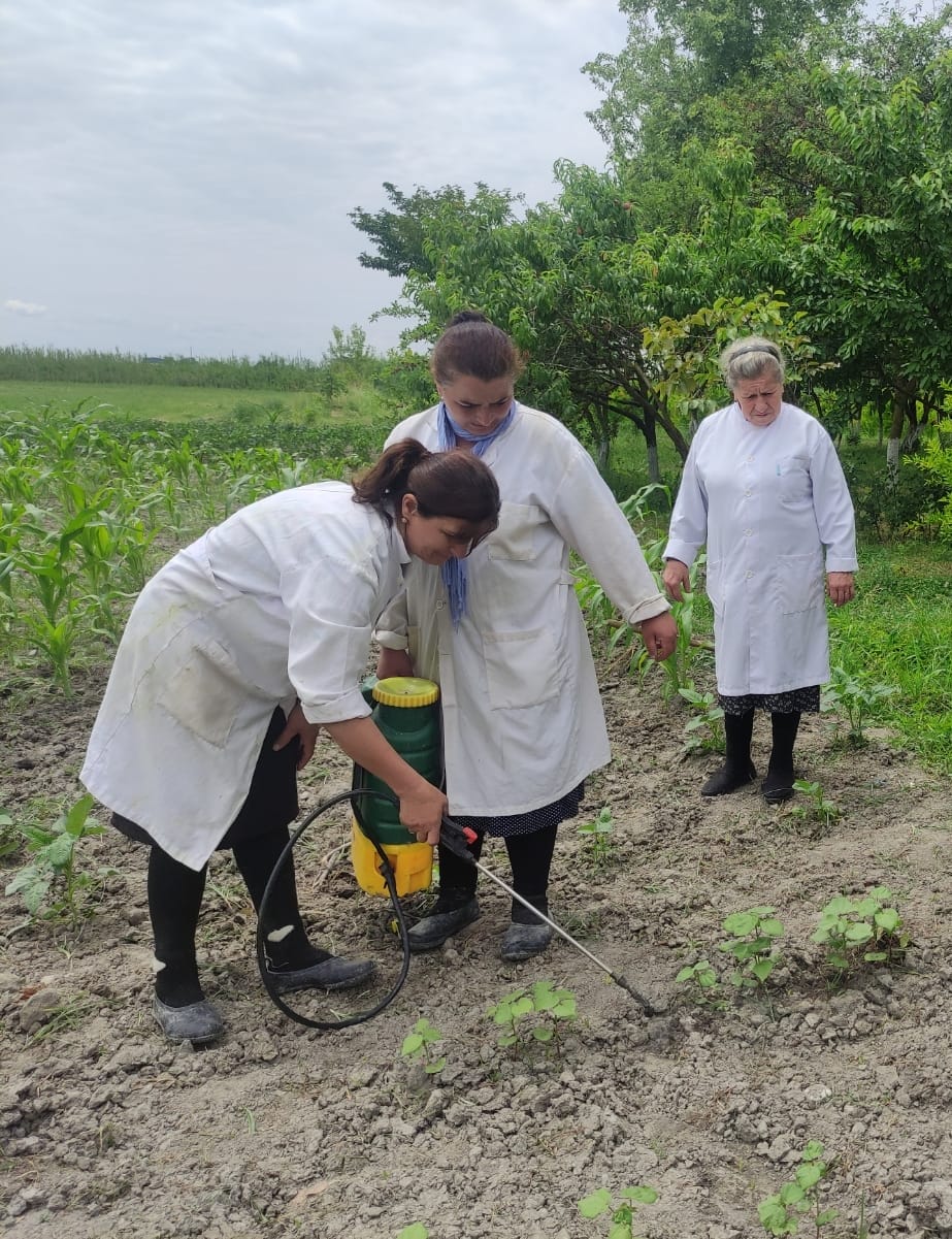 AR ETN Torpaqşünaslıq və Aqrokimya İnstitutu ilə Neft-Kimya Prosesləri İnstitutu arasında əməkdaşlıq davam edir