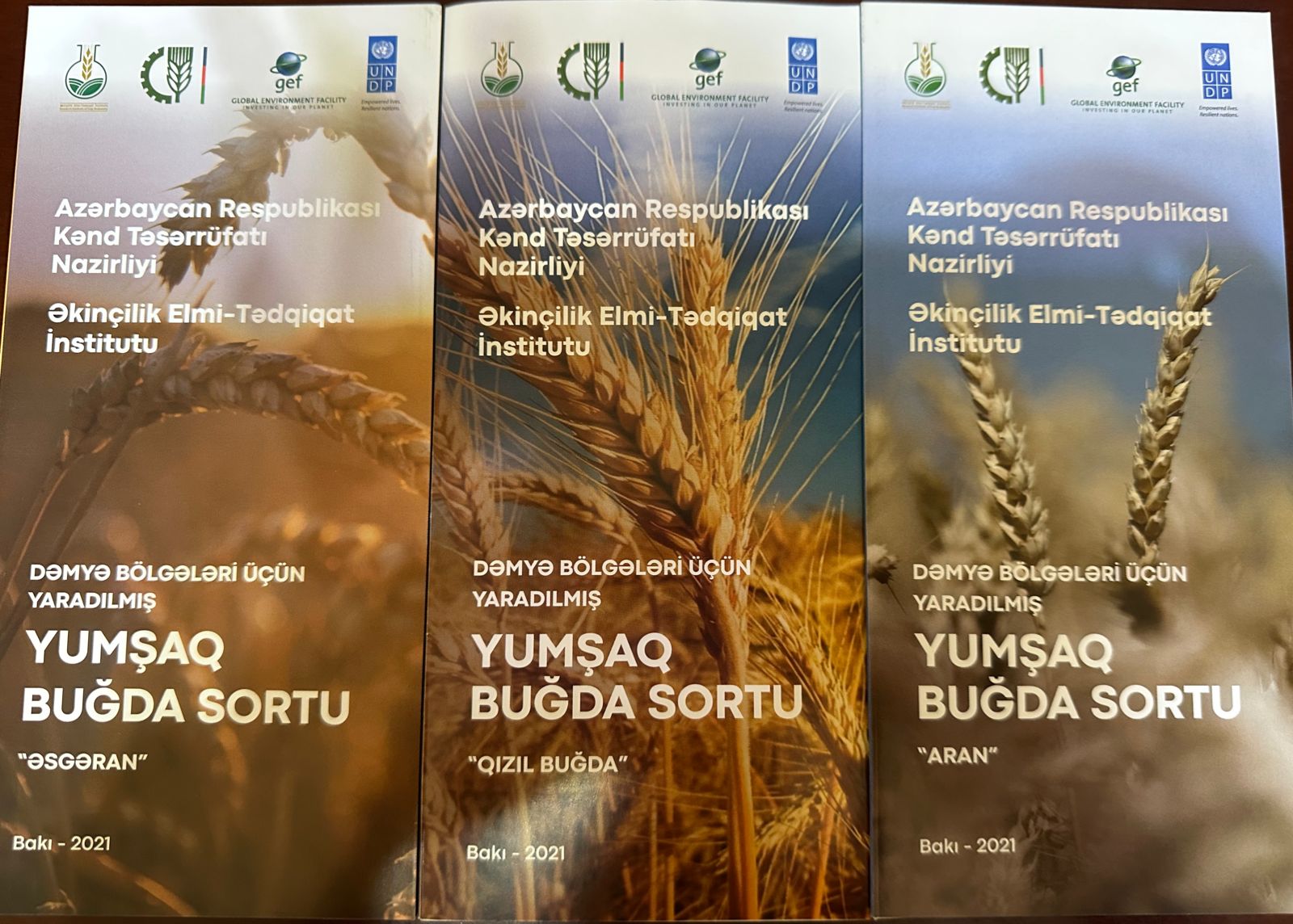 An event was held on the topic "Development of grain growing on scientific basis: problems and prospects".