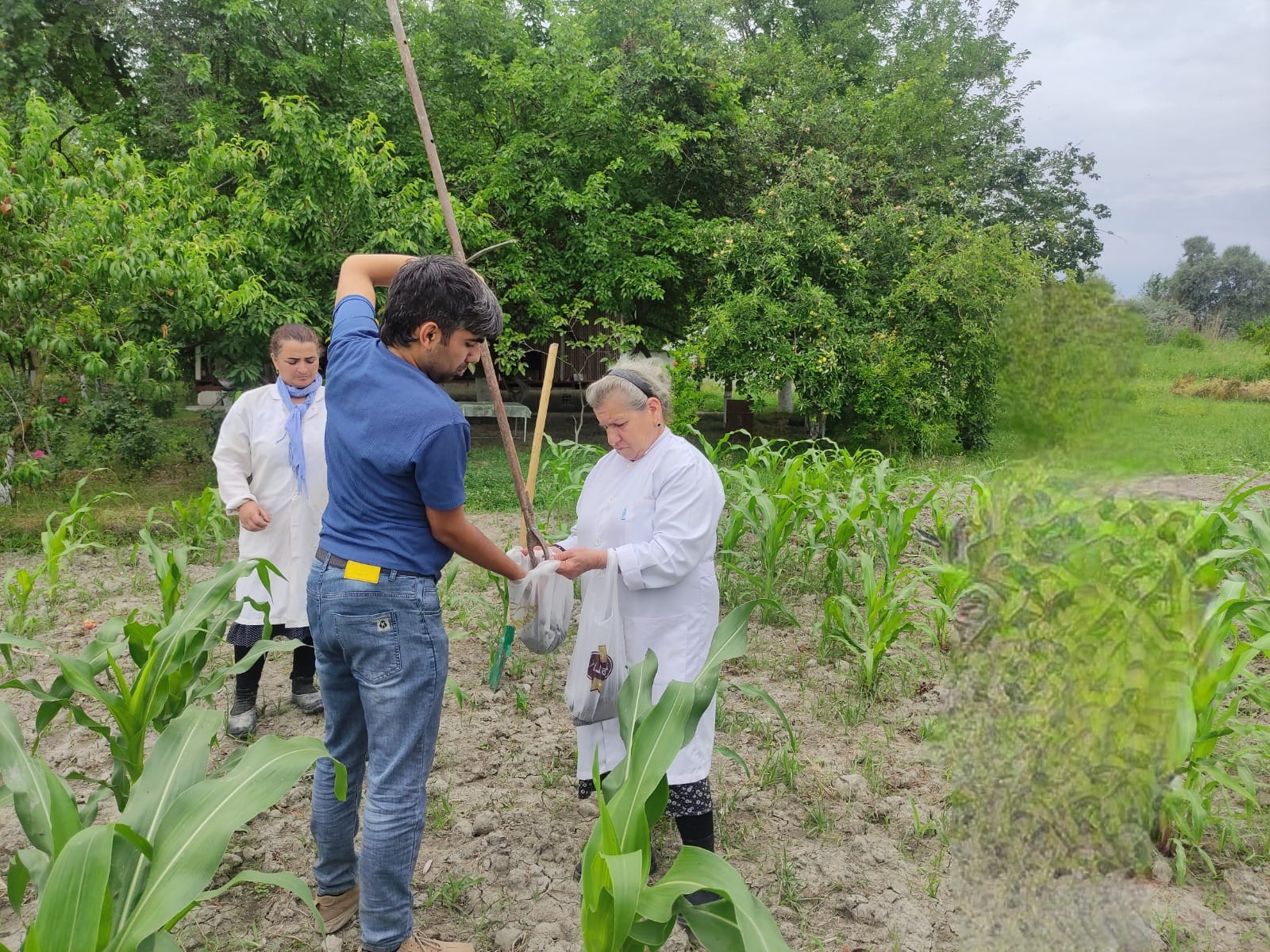 AR ETN Torpaqşünaslıq və Aqrokimya İnstitutu ilə Neft-Kimya Prosesləri İnstitutu arasında əməkdaşlıq davam edir