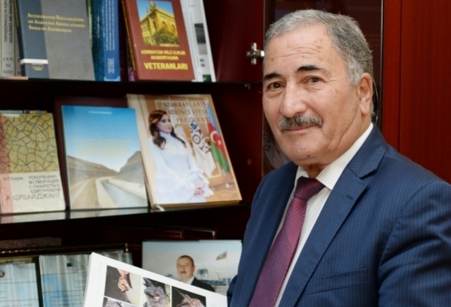 Professor: Müzəffər Ali Baş Komandan İlham Əliyev 200 illik tarixi gedişi dəyişdirib