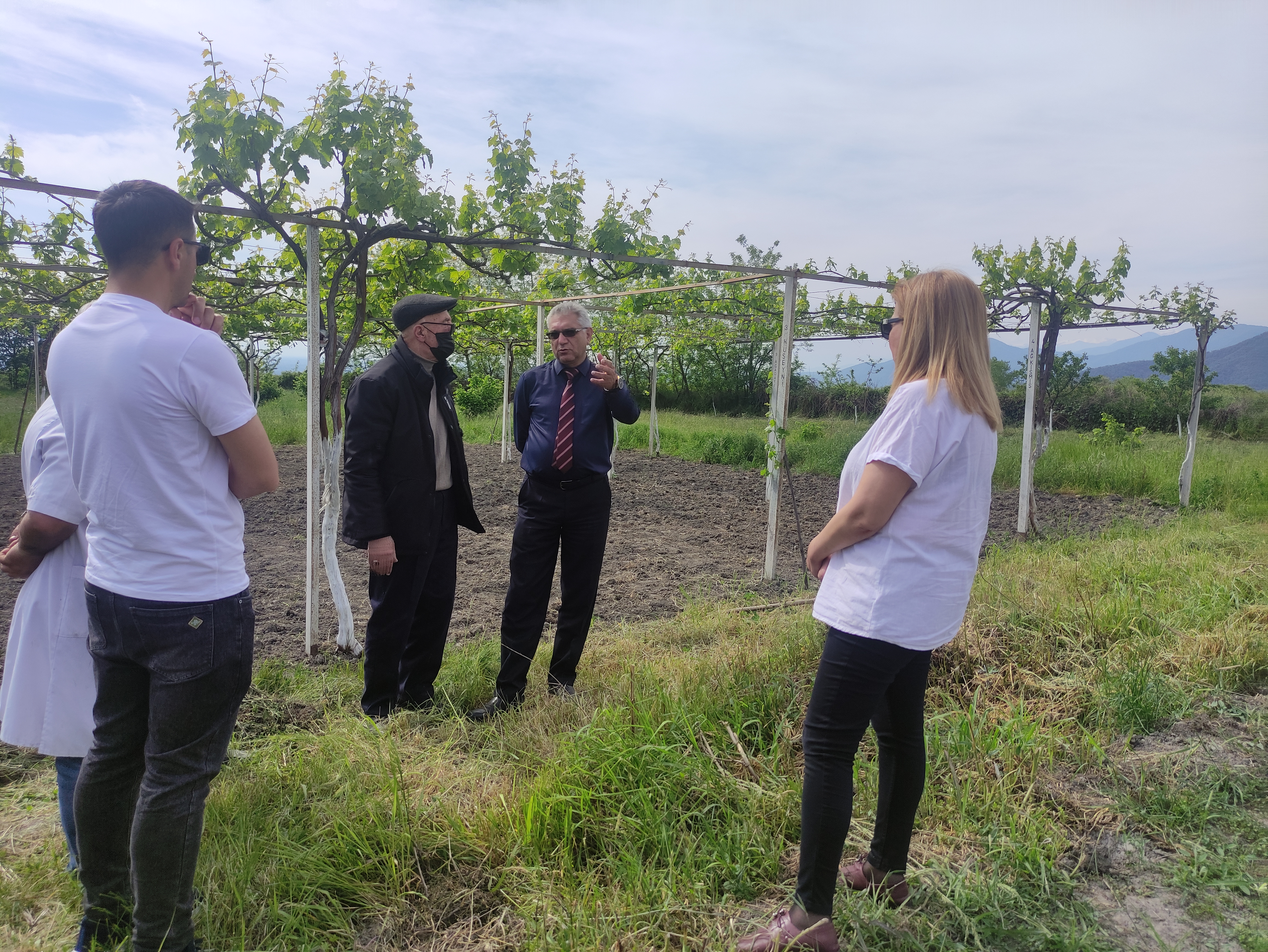 The Research work continues at the Gakh district Regional Experience and Resource Center for Ecologically Clean Agriculture.